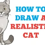 drawing:a4z_-ymtkr8= cat