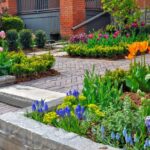 Hardscaping vs. Softscaping: Finding the Perfect Balance in Your Landscape