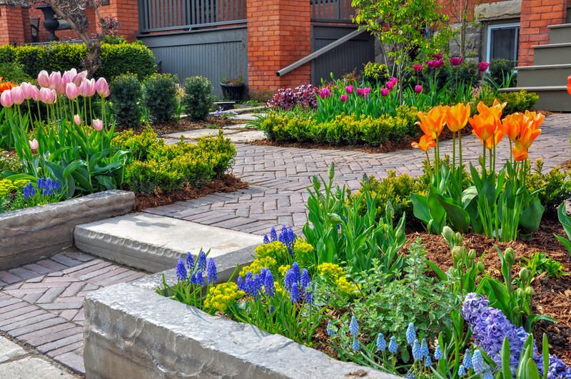 Hardscaping vs. Softscaping: Finding the Perfect Balance in Your Landscape