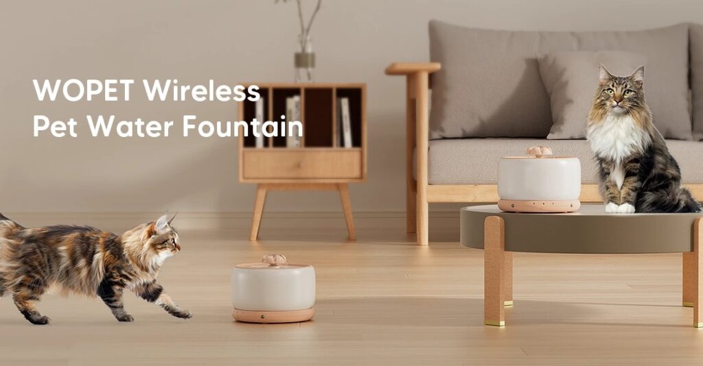 What Types of Pets Benefit Most from Pet Fountains? A Complete Guide